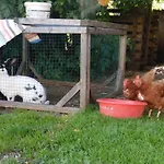 Διαμέρισμα Hinterramsebn Vorderstoder