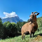 Διαμέρισμα Hinterramsebn Vorderstoder