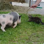 Διαμέρισμα Hinterramsebn Vorderstoder