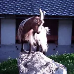 Hinterramsebn Διαμέρισμα Vorderstoder