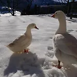 Hinterramsebn Διαμέρισμα Vorderstoder