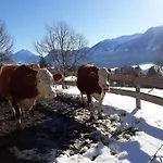 Hinterramsebn Διαμέρισμα Vorderstoder