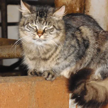 Hinterramsebn * Vorderstoder