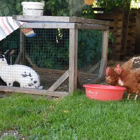 Appartement Hinterramsebn Vorderstoder