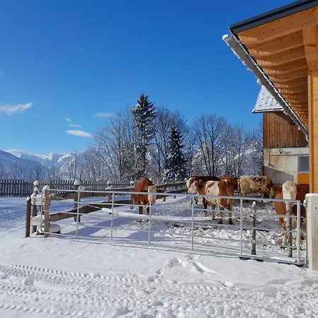 Hinterramsebn Διαμέρισμα Vorderstoder