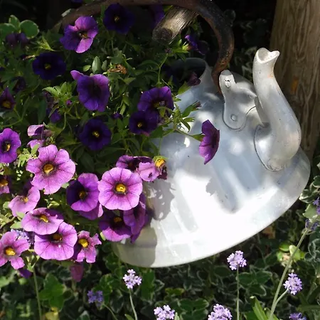 Appartement Hinterramsebn Vorderstoder