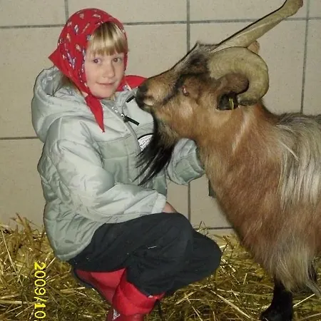 Apartament Hinterramsebn *