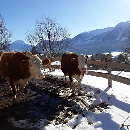 Hinterramsebn Appartement Vorderstoder