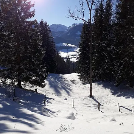 Hinterramsebn Appartement *