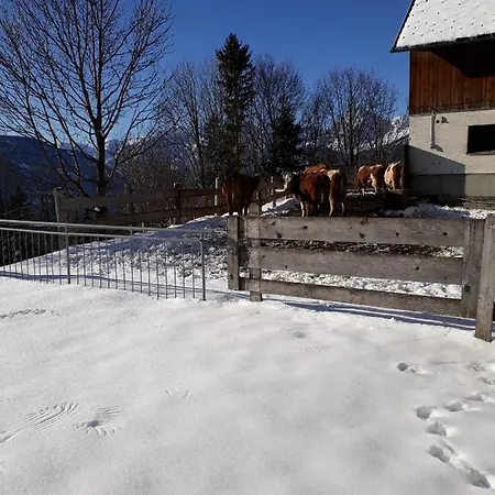 Hinterramsebn Appartement