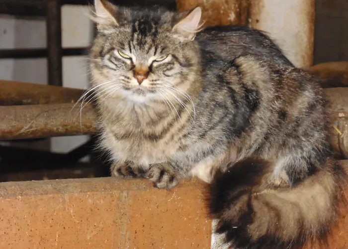 Hinterramsebn * Фордерстодер