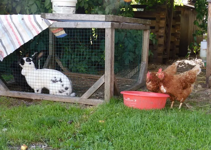 Апартаменты Hinterramsebn Фордерстодер