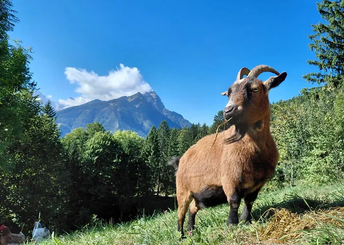 Appartamento Hinterramsebn Vorderstoder