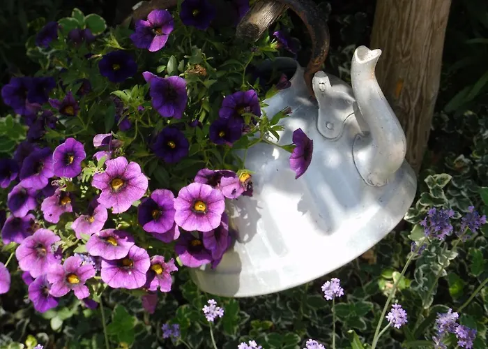 Апартаменты Hinterramsebn Фордерстодер