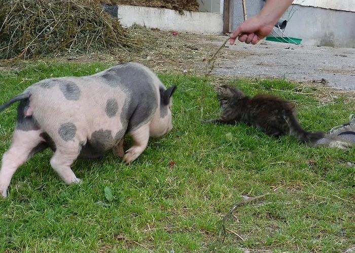 Апартаменты Hinterramsebn Фордерстодер