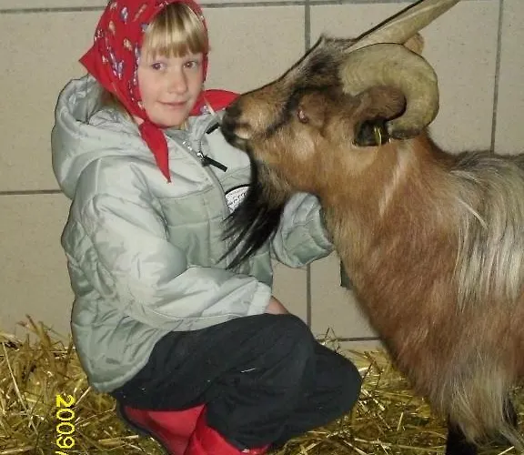 Appartement Hinterramsebn *