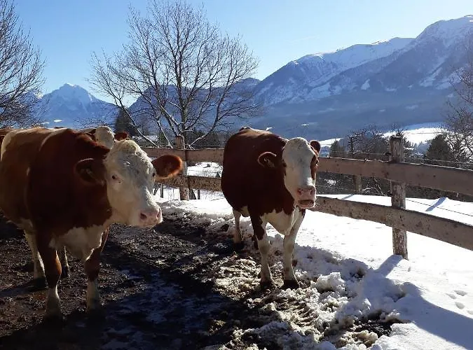 Hinterramsebn Appartamento Vorderstoder