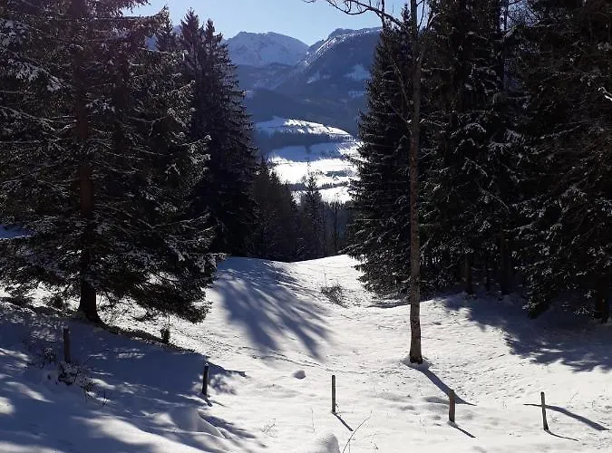 Hinterramsebn Daire *