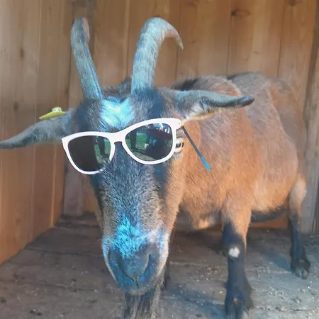 Hinterramsebn Vorderstoder