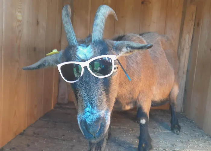 Hinterramsebn Vorderstoder