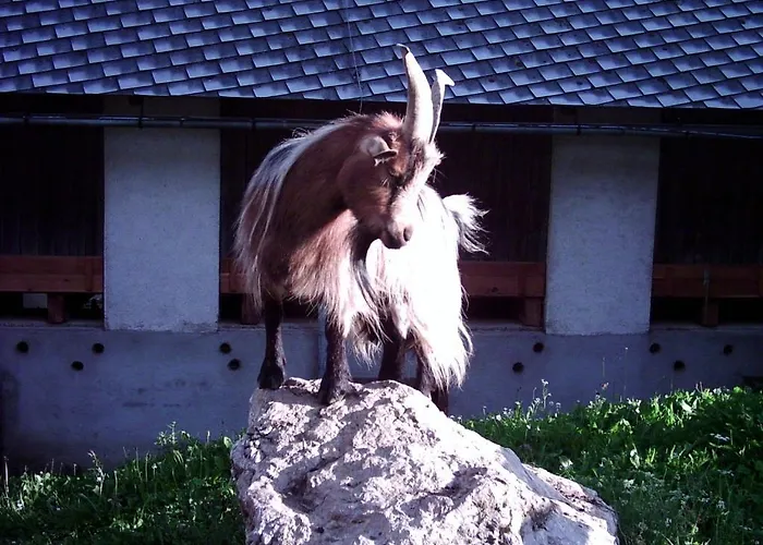 Hinterramsebn Apartment Vorderstoder